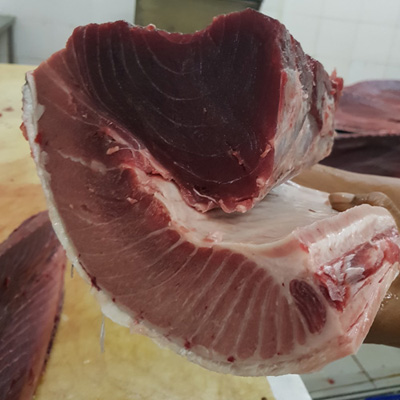 Fresh O Toro BF